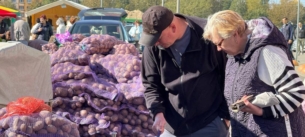 Брестчане, ярмарка, сельскохозяйственная ярмарка, Брест, картошка