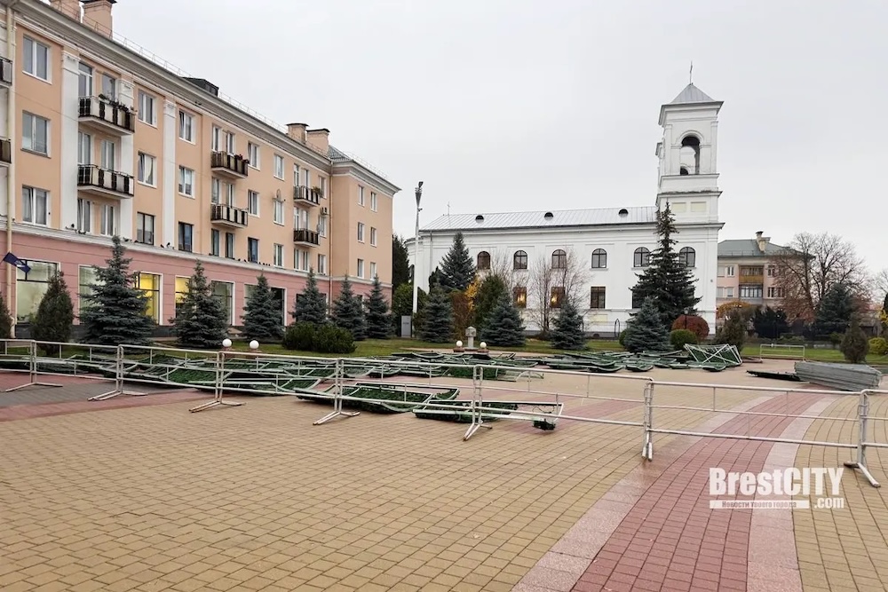 Монтаж новогодней елки на площади Ленина в Бресте.