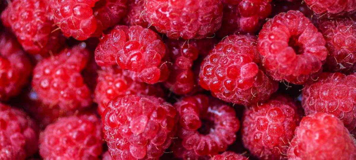 Малина, лоток, цена