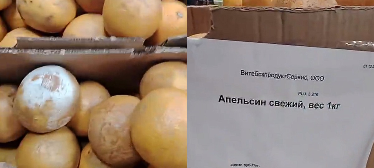 гнилые апельсины цена
