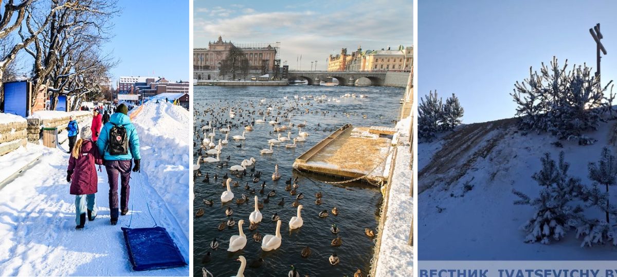 Швеция, Беларусь, горки, лебеди