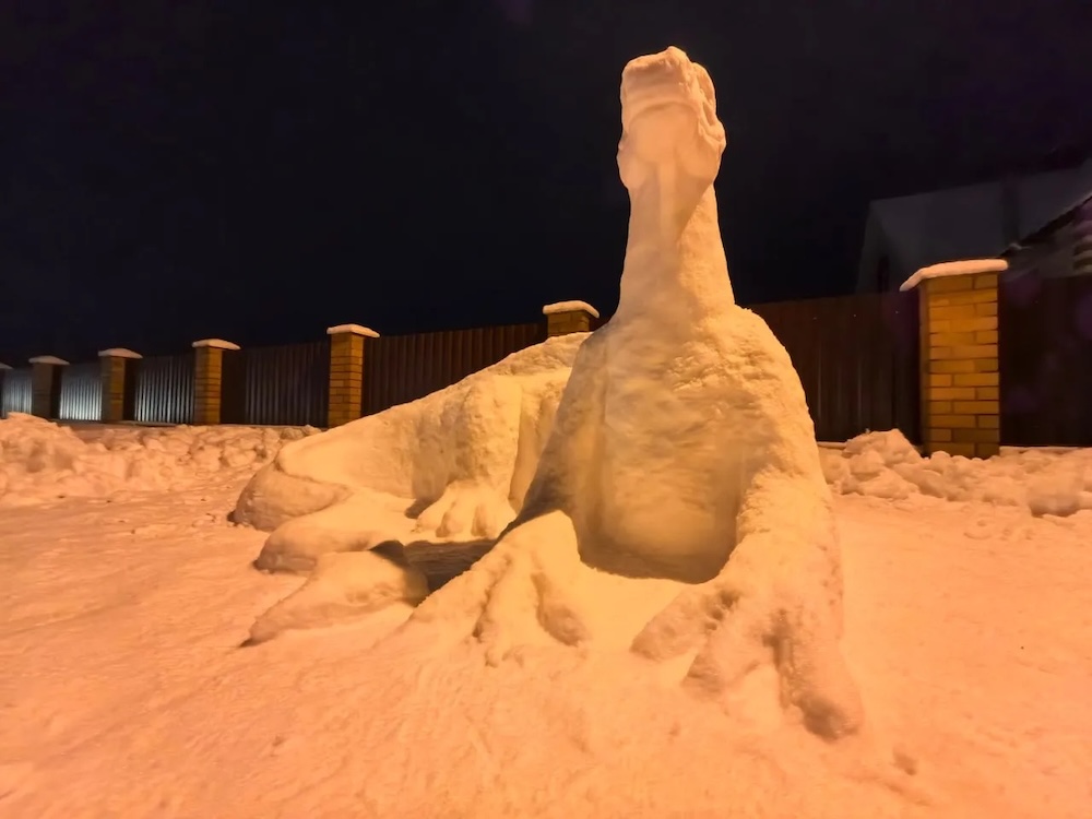 Снежный дракон в Столине.