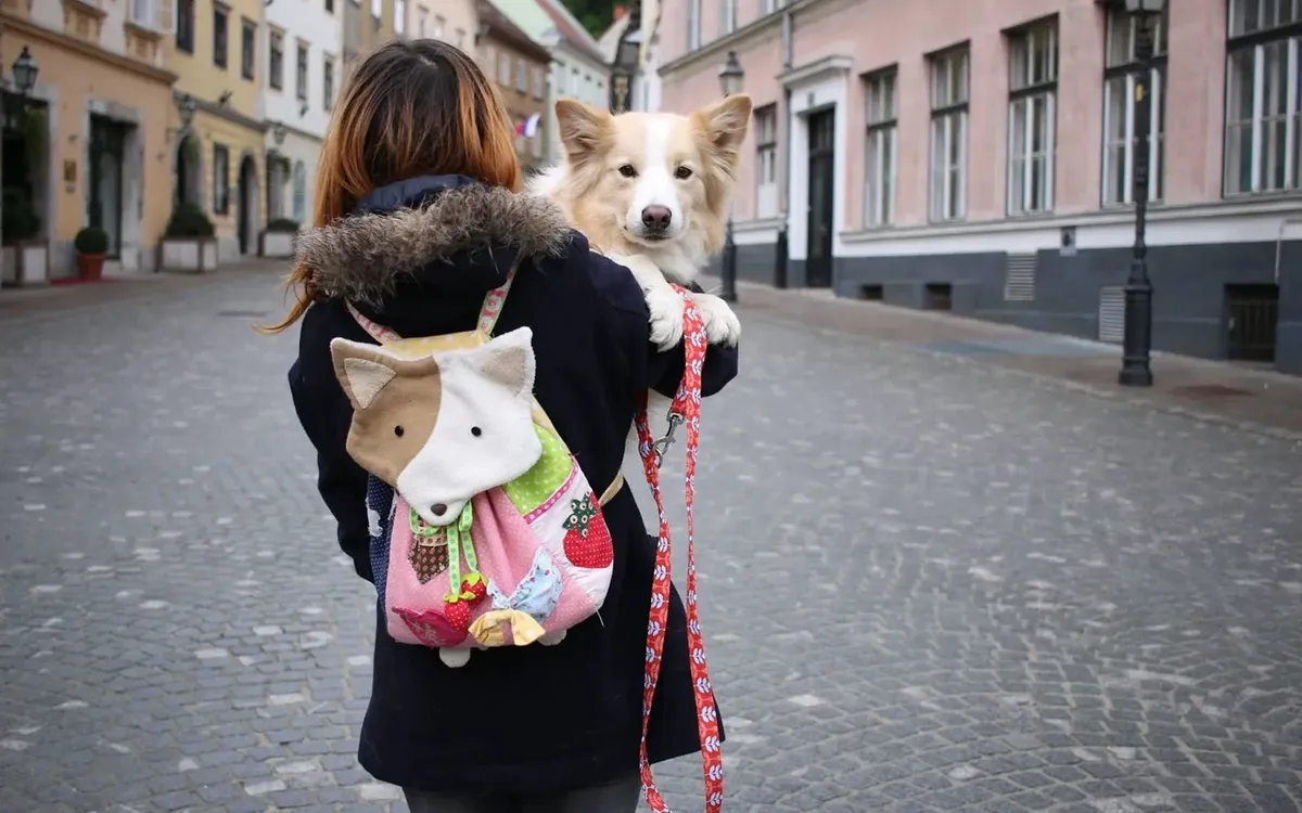 Иллюстративное фото.