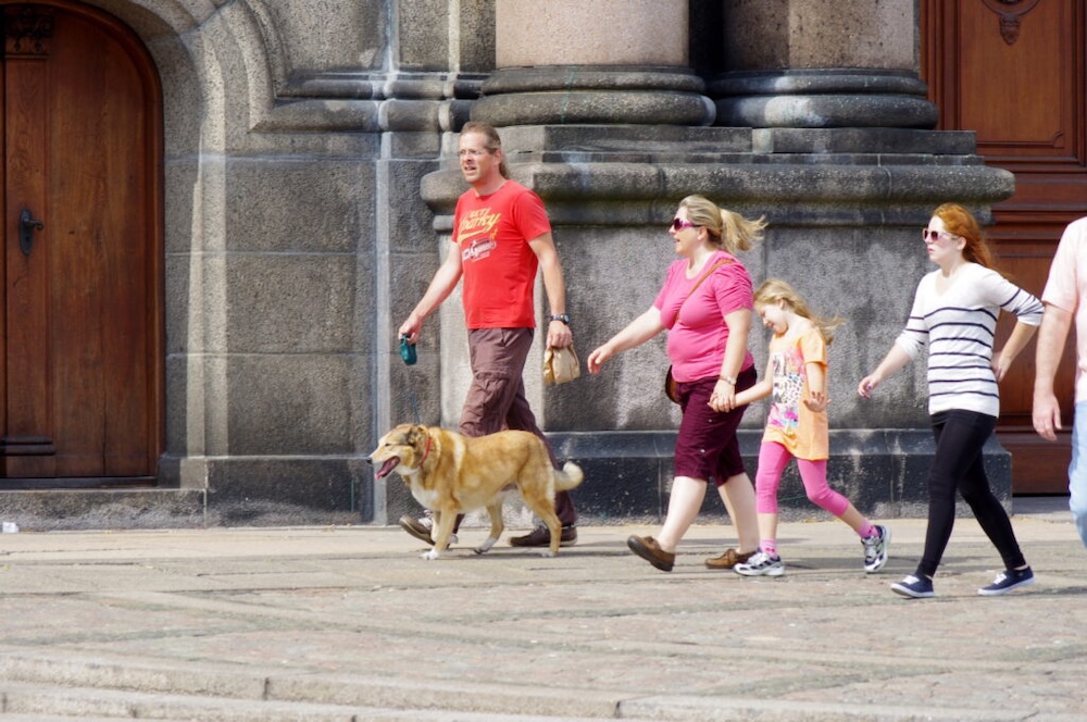 Копенгаген. Королевский дворец Кристиансборг. Семья выгуливает своего питомца.
