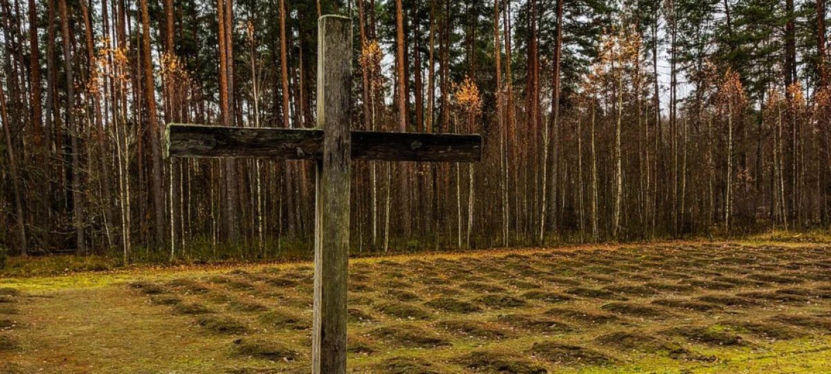 кладбище с крестами