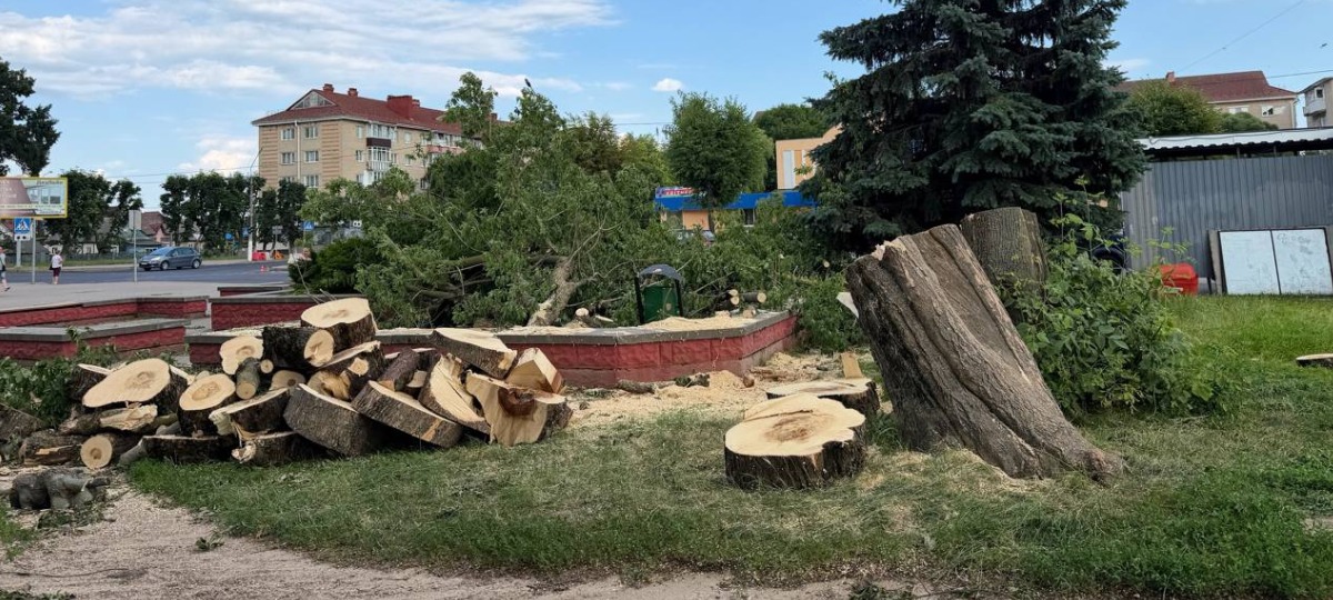 вырубленные деревья на остановке общественного транспорта