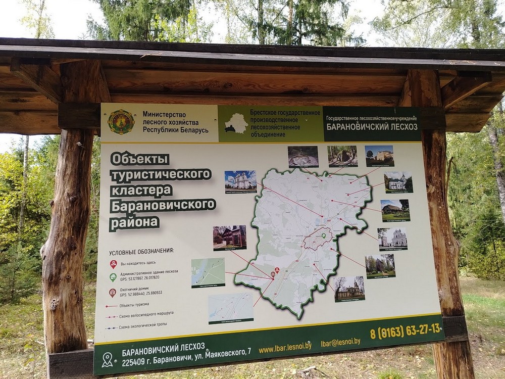 Веломаршрут Барановичского лесхоза. Фото: Victogan
